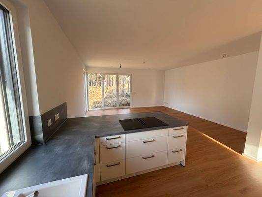 Wohnzimmer mit offener Küche