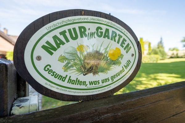 Natur im Garten