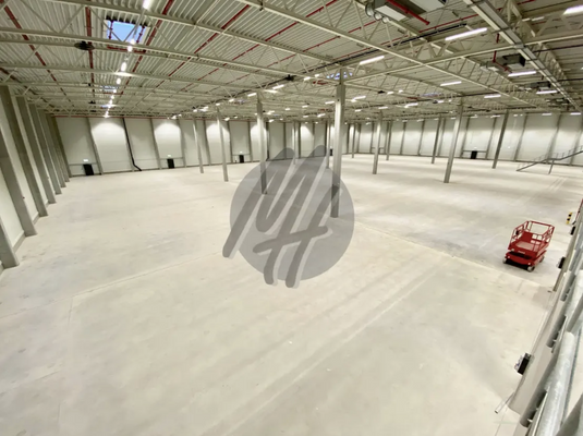 INFOS UNTER: 06171-586000