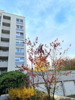 20211110_125423_resized