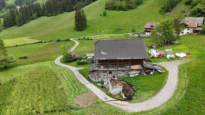 Hof_Antholz_Wald_Alpenwiese_ruhig_Natur_Dolomiten_Südtirol