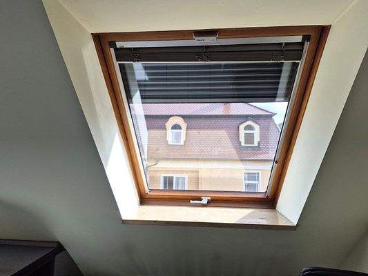 22. DFF mit Rollo und el. Aussenrollo.jpg