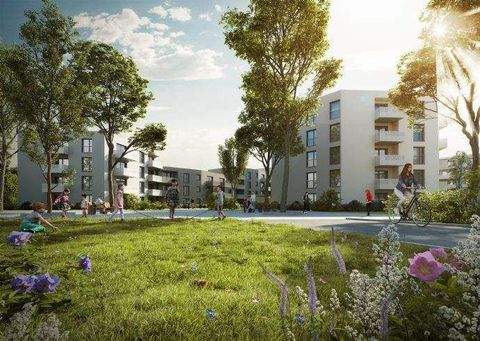 Stein Wohnungen, Stein Wohnung mieten