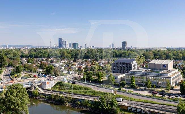 Bild 19
