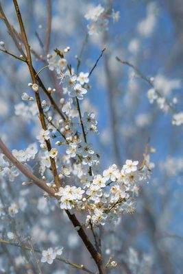 Hier entsteht Ihr neues Zuhause