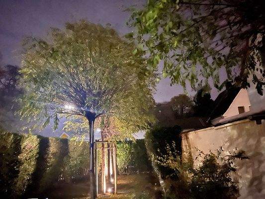 Garten beleuchtet