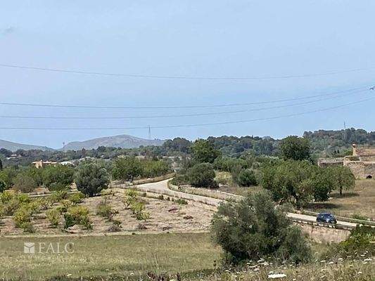 ... und die Umgebung