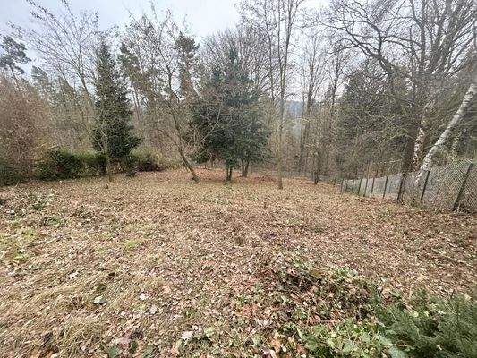 Ausblick aufs Grundstück