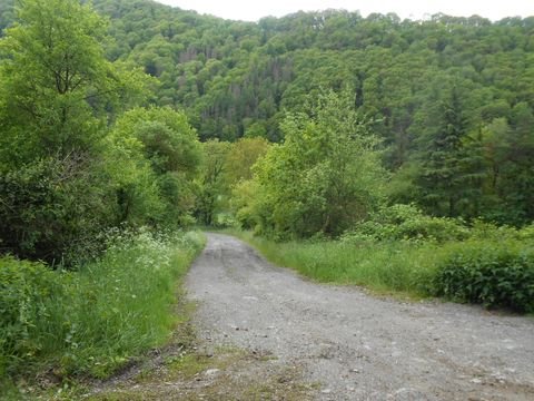 Dausenau Bauernhöfe, Landwirtschaft, Dausenau Forstwirtschaft