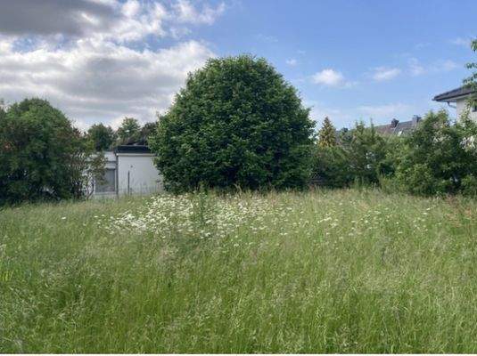 rückseitiger Garten