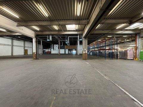 Hamburg Halle, Hamburg Hallenfläche