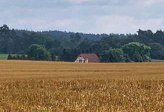 BILD1