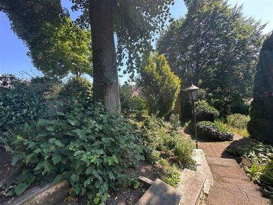 Impressionen des Grundstücks 