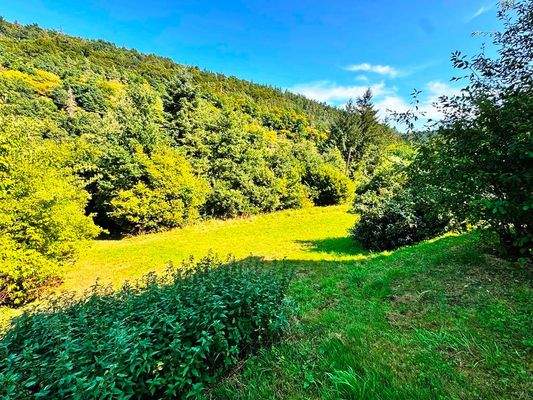 Jede Menge Platz zum Entfalten (2)