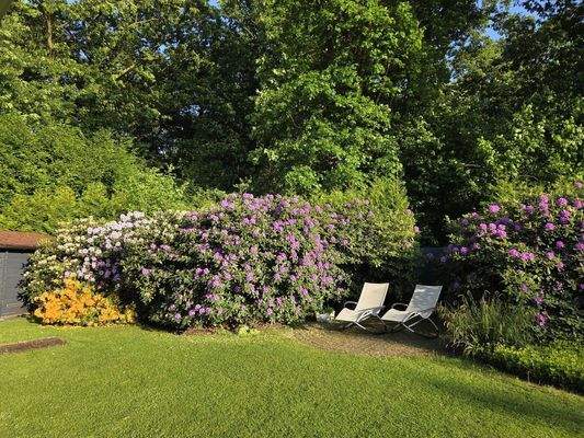 Ruheterrasse Rhododendren