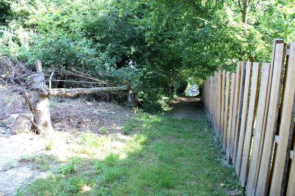 2576 Baugrundstück Ruppichteroth