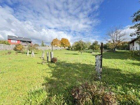 5251792A-B102-4172-9E45-54FE4D4D454A_4_5005_c