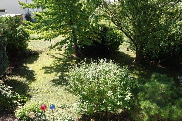 Blick in den Garten.JPG