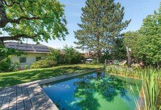 Garten inkl. Naturpool