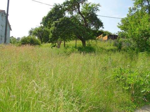 Weilrod Grundstücke, Weilrod Grundstück kaufen