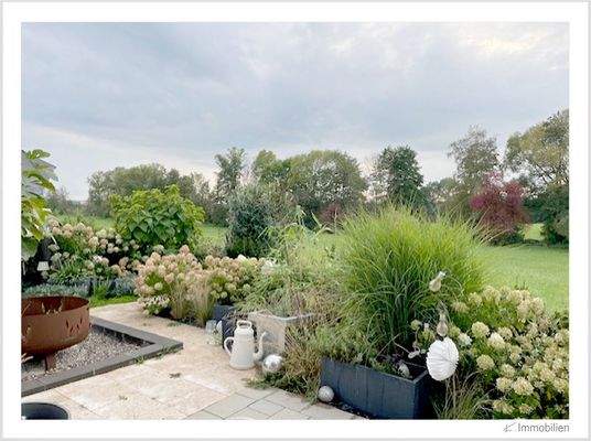 145-2025 Hortensien.jpg