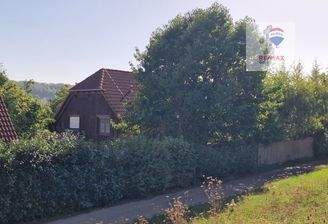 Eingewachsen für Privatspähre