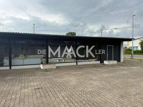 Lüneburg Halle, Lüneburg Hallenfläche