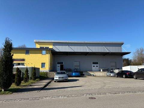 Greifenberg Halle, Greifenberg Hallenfläche
