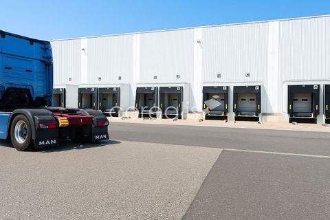 Düsseldorf Halle, Düsseldorf Hallenfläche