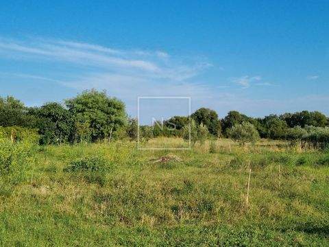 Marcana Grundstücke, Marcana Grundstück kaufen