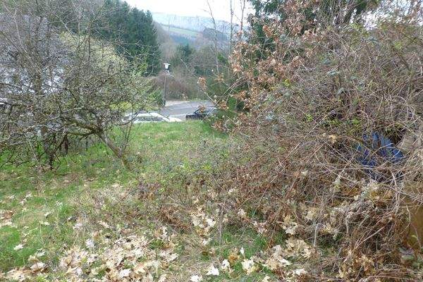 54497 Horath - Harpelsteinstraße 32