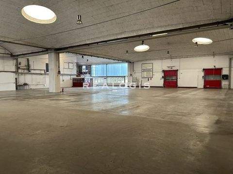 Staufenberg Halle, Staufenberg Hallenfläche