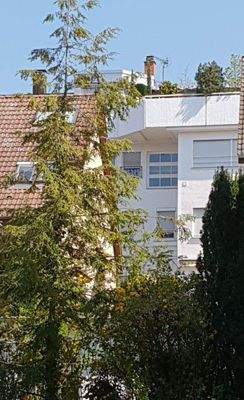 Wohn-Geschäftshaus-Westseite 100m Entfernt (1).jpg