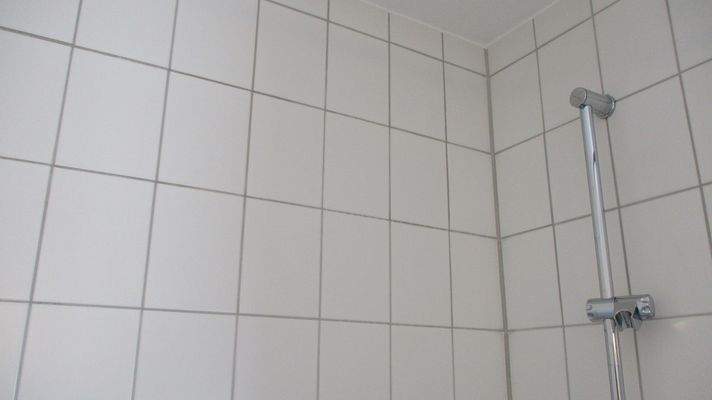 Tageslichtbad weiße Fliesen