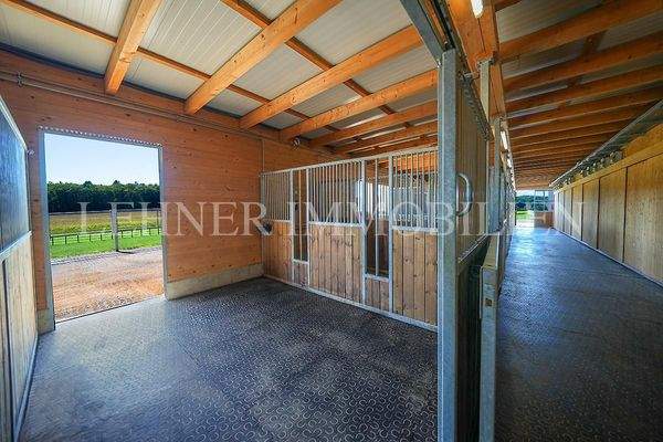 Lehner Immobilien Bild 85