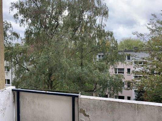 Blick vom Balkon 11.2019