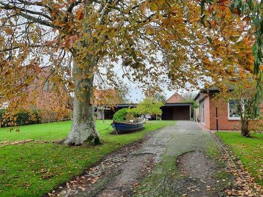 Auffahrt mit Carports 