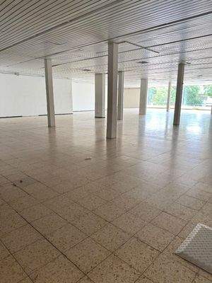 WhatsApp Image 2026-03-23 at 16.34.37