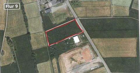 Birstein Industrieflächen, Lagerflächen, Produktionshalle, Serviceflächen