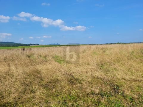 Großlittgen Grundstücke, Großlittgen Grundstück kaufen