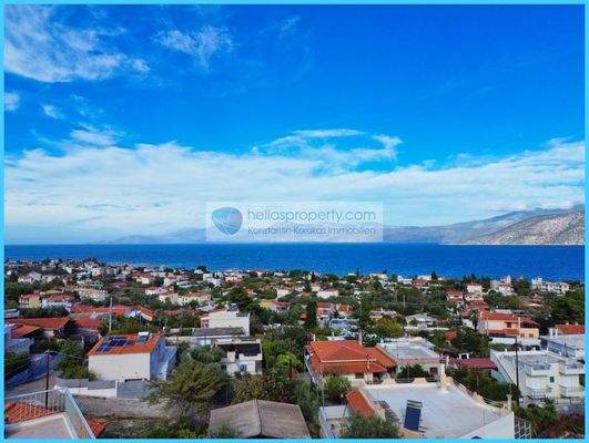 780f5a2bd58e4bb3a75275553f5a8e52-original