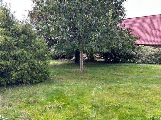 Ein Teil des großen Gartens