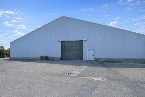 Dresden Halle, Dresden Hallenfläche