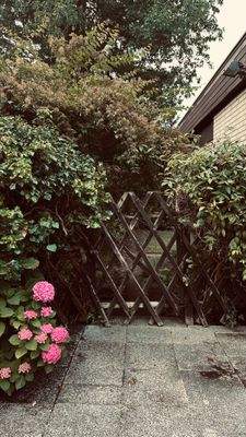 EG Terrasse Tor zum Garten.jpeg