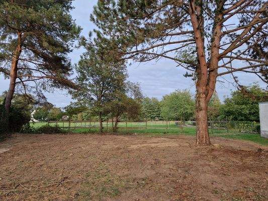 Blich Neumagen 07.10.22.jpg