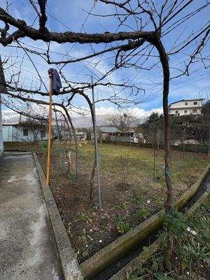 WhatsApp Image 2025-12-29 at 13.02.24 (4).jpeg