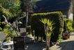 IMG_1851-1.jpeg