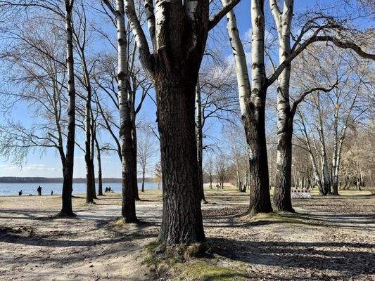 Umgebung Rangsdorfer See