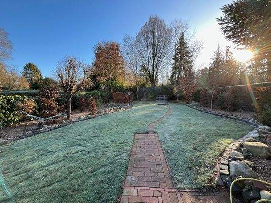 Garten-Blick zum Bungalow (4)