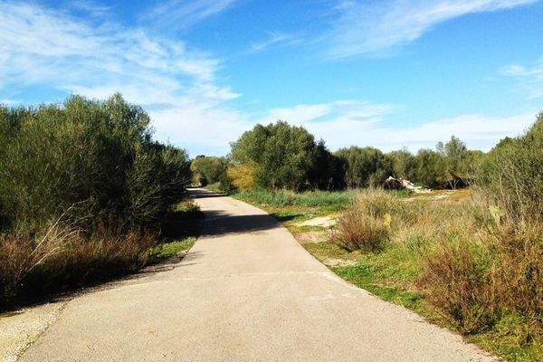 Nordzufahrt zu den Liegenschaften